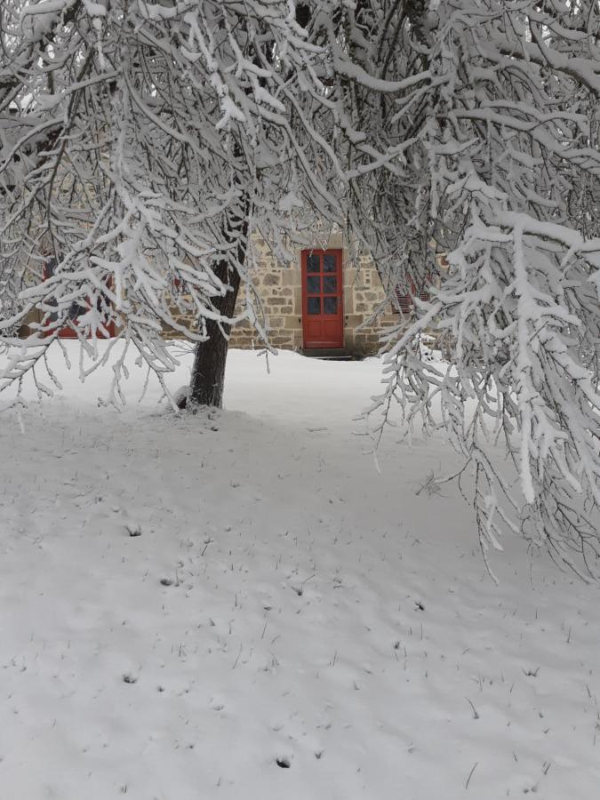 Espinasse Auverg'Nature Chambre Cocon מראה חיצוני תמונה